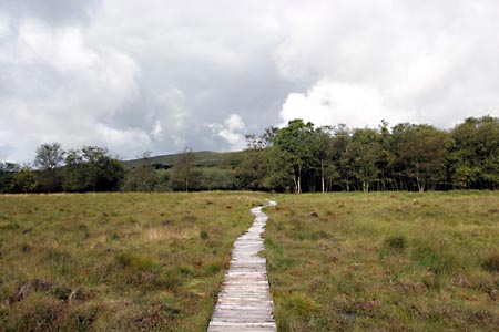 The Boardwalk at Malham